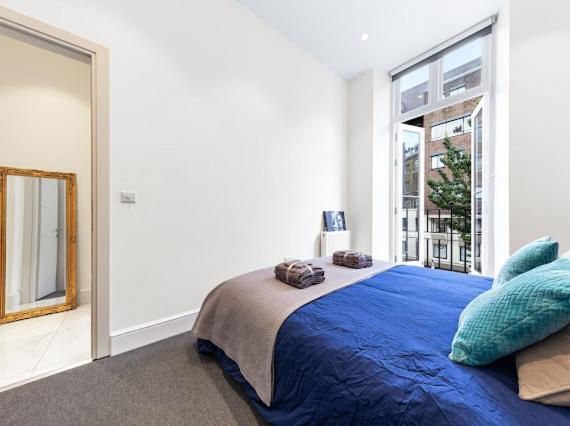 Harley Street Luxury Snug Apartment London Luaran gambar